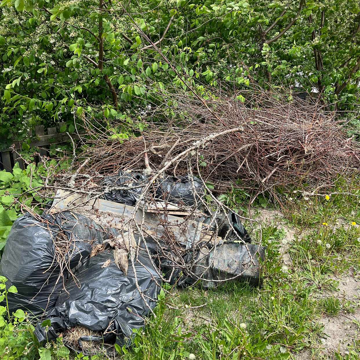 image of Trädgårdsavfall - Ösmo