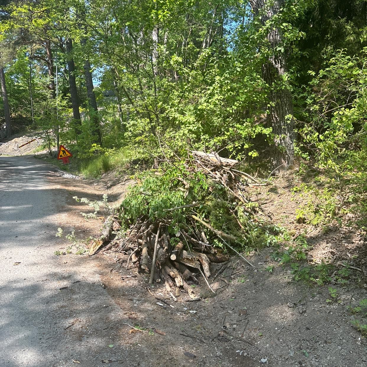 image of Träd, kvistar etc - Saltsjöbaden