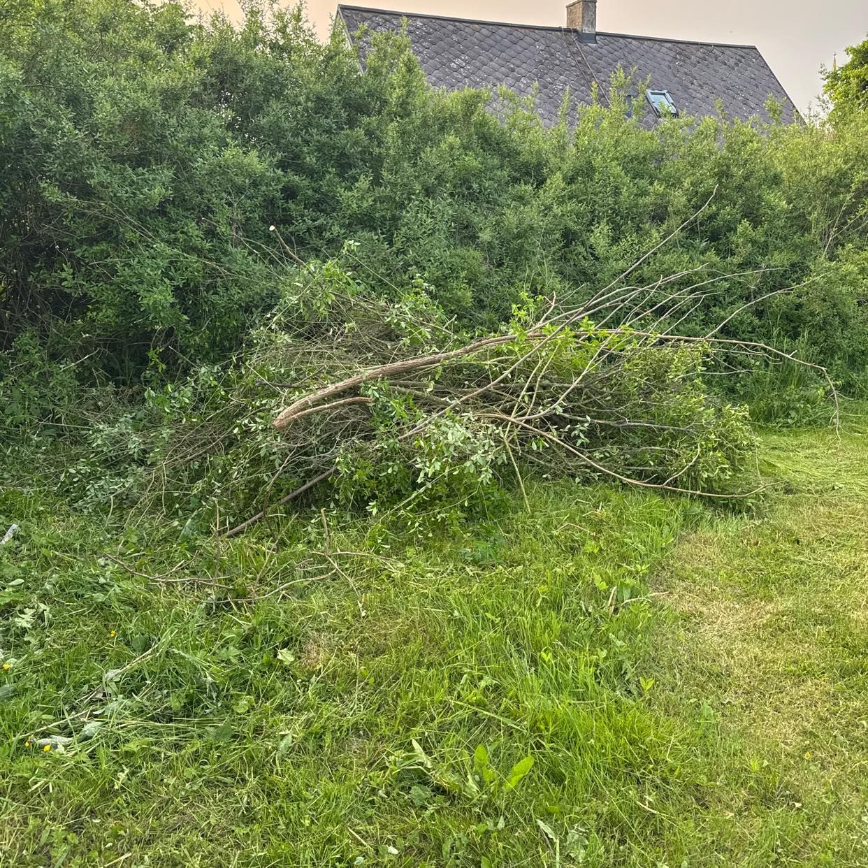 image of Köra till tippen - Eslöv