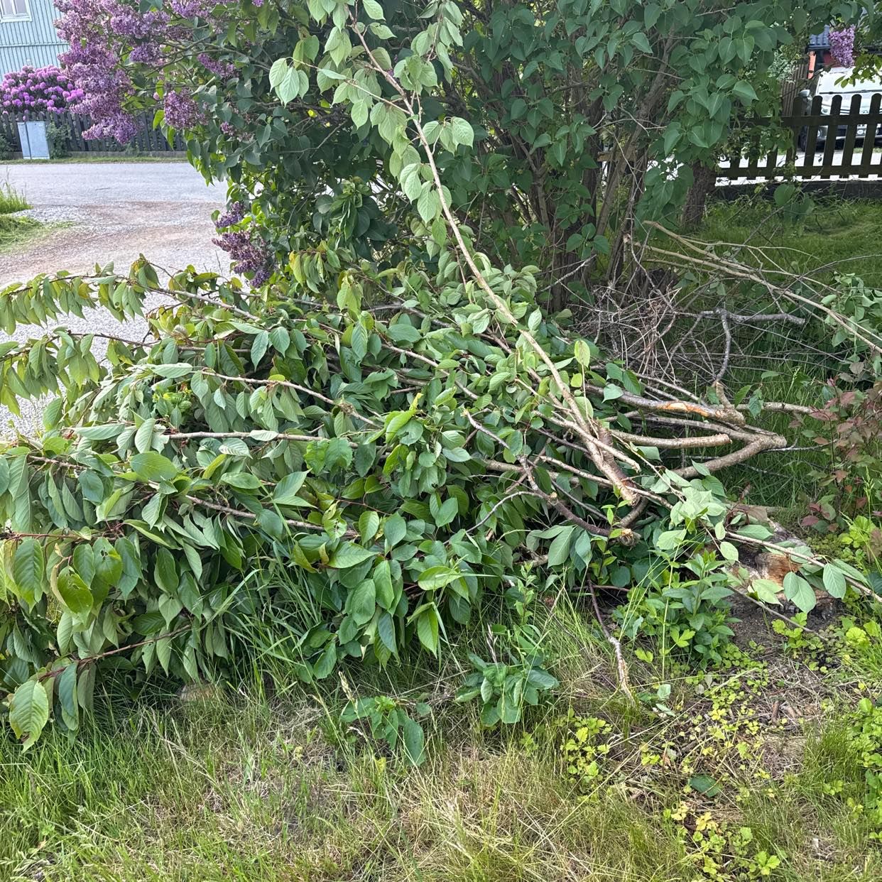 image of Köra till tippen - Eslöv
