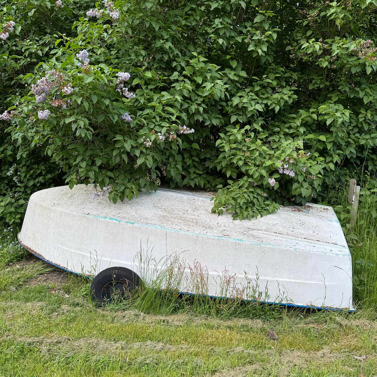 image of En mindre plastbåt - Gaddesanna