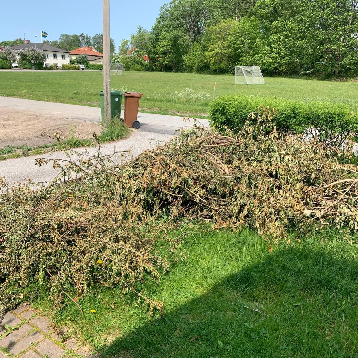 image of Kvistar och grenar - Sollentuna