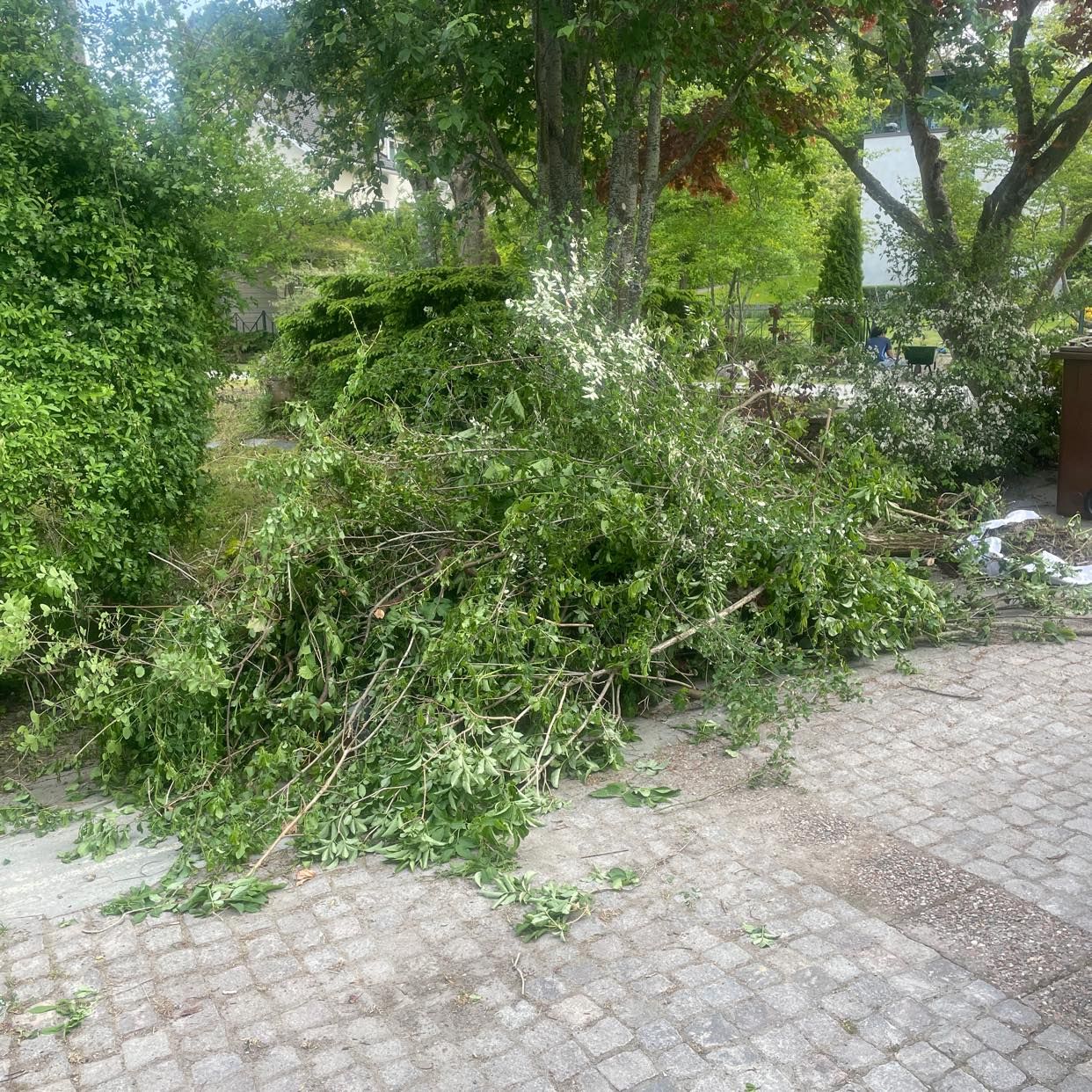 image of Slänga trädgårdsavfall - Stocksund