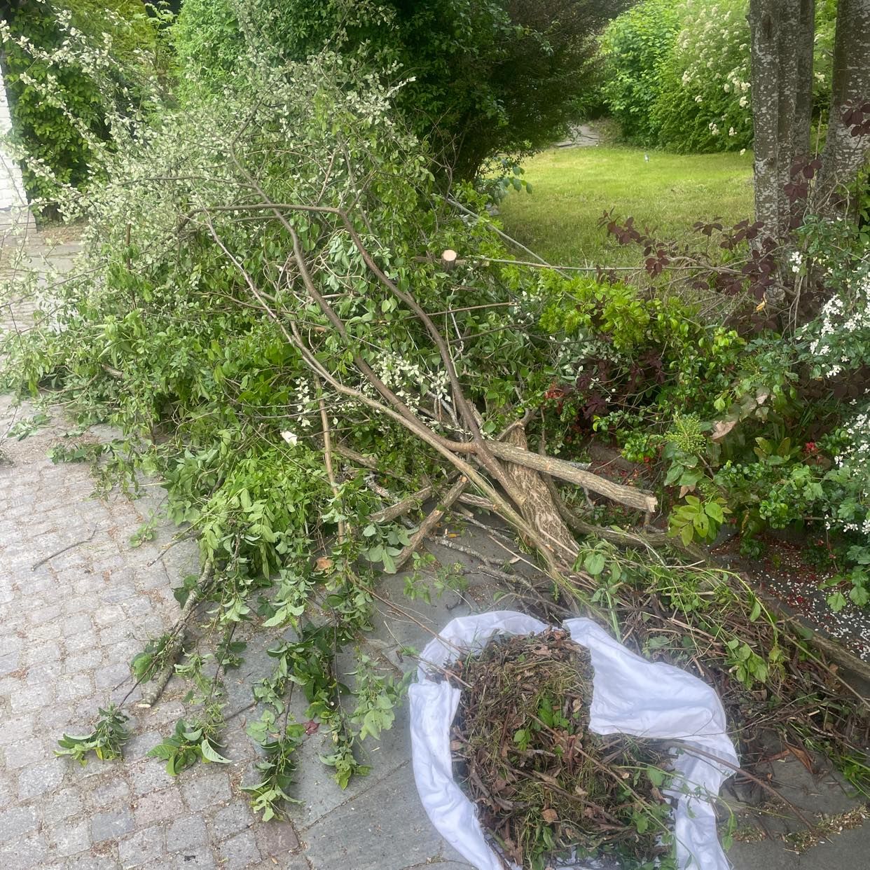 image of Slänga trädgårdsavfall - Stocksund