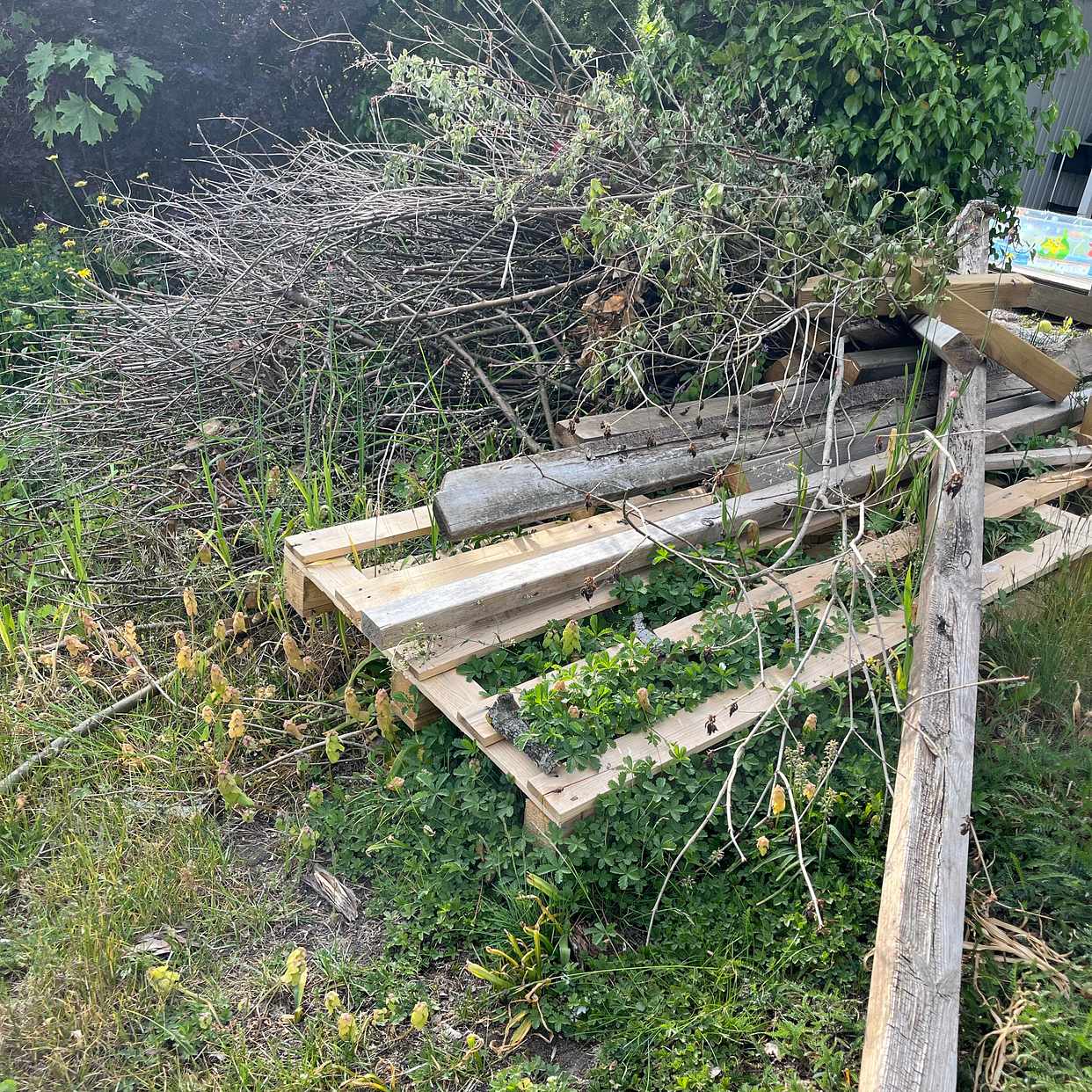image of Trädgårdsavfall och trä - Täby