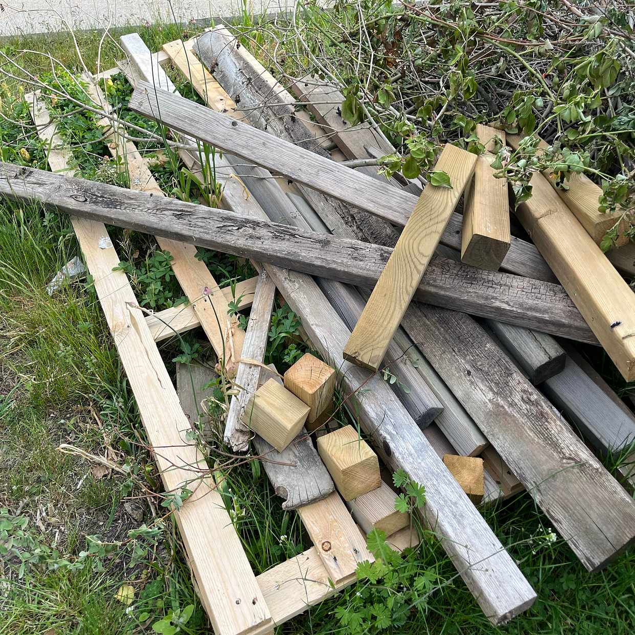 image of Trädgårdsavfall och trä - Täby