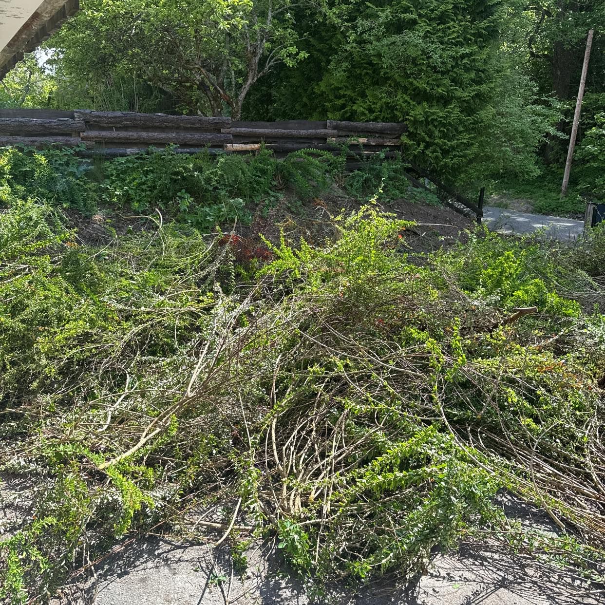 image of Trädgårdsavfall buskar - Tumba