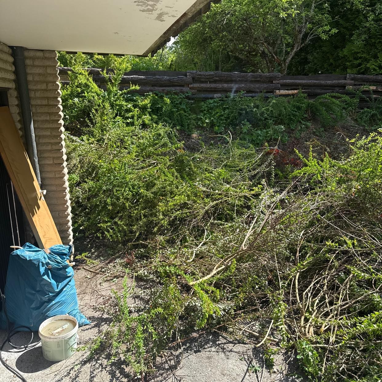 image of Trädgårdsavfall buskar - Tumba