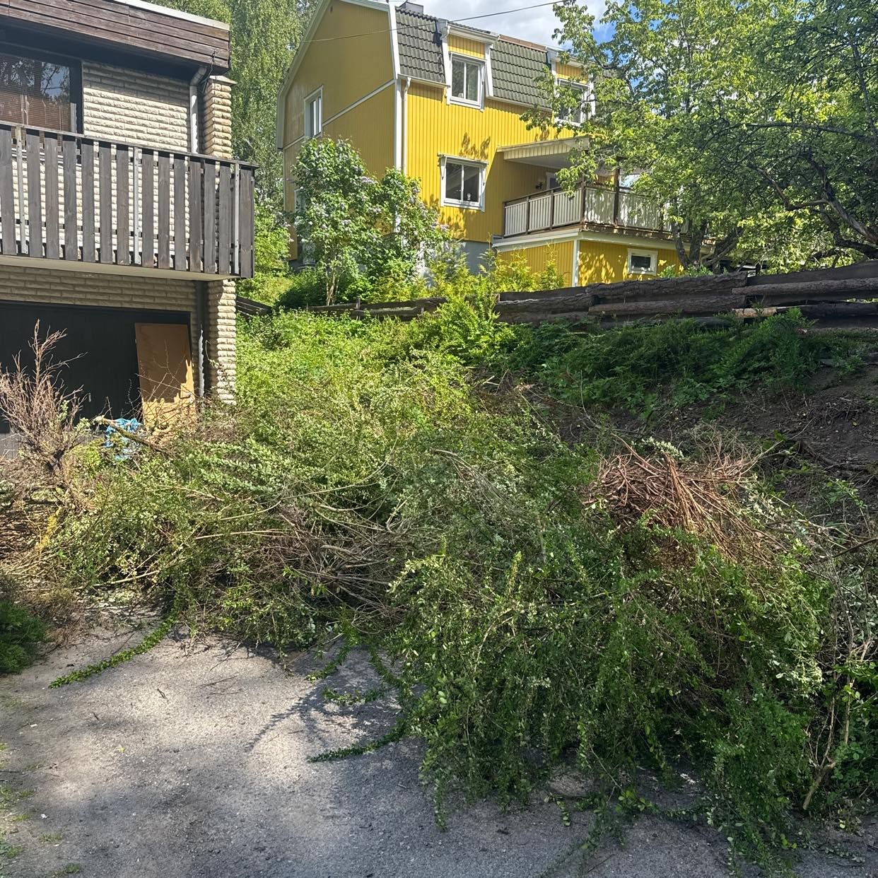 image of Trädgårdsavfall buskar - Tumba