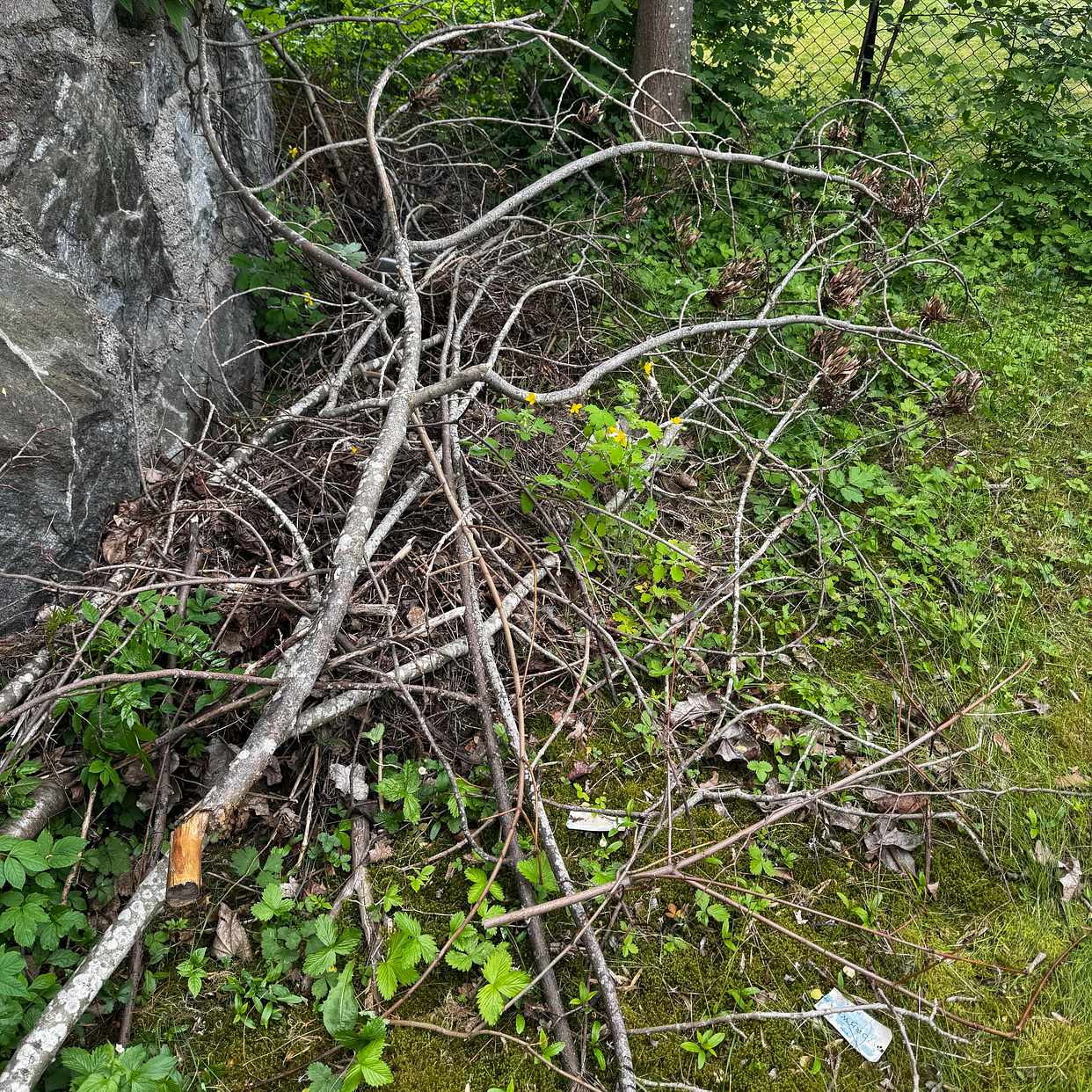 image of Blandat avfall och grenar - Danderyd