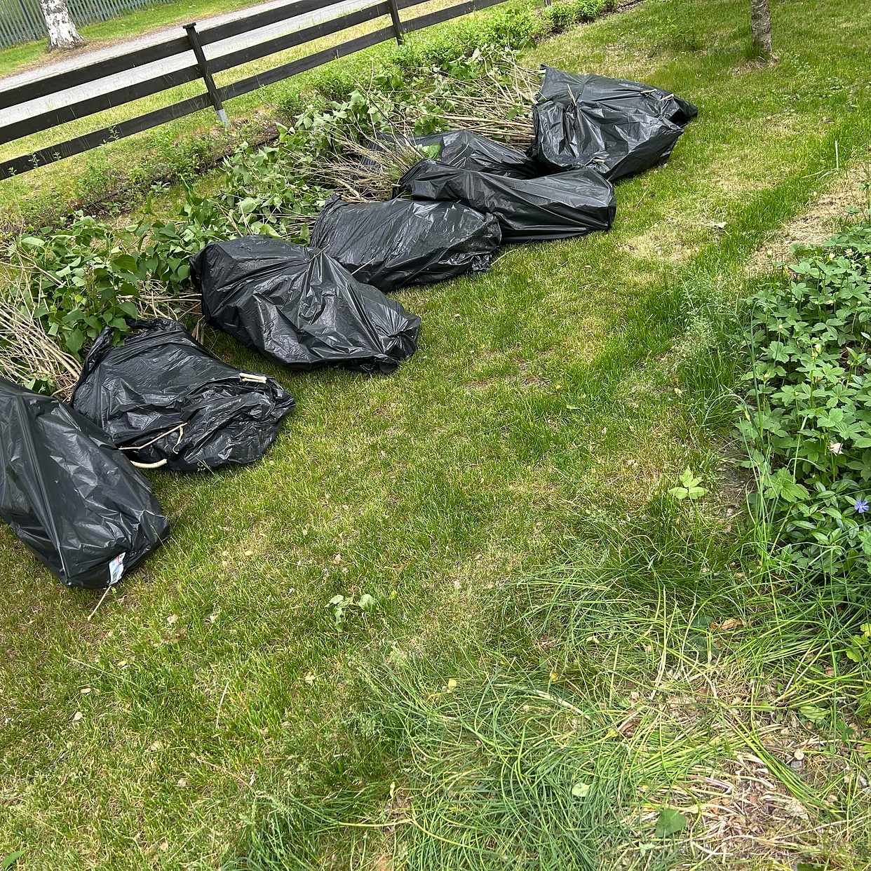 image of Bortforsling - Enskede-Årsta-Vantör