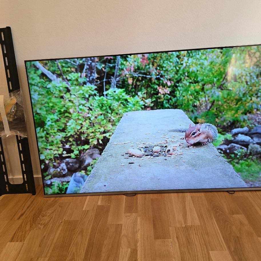 55 inch TV - inget skydd