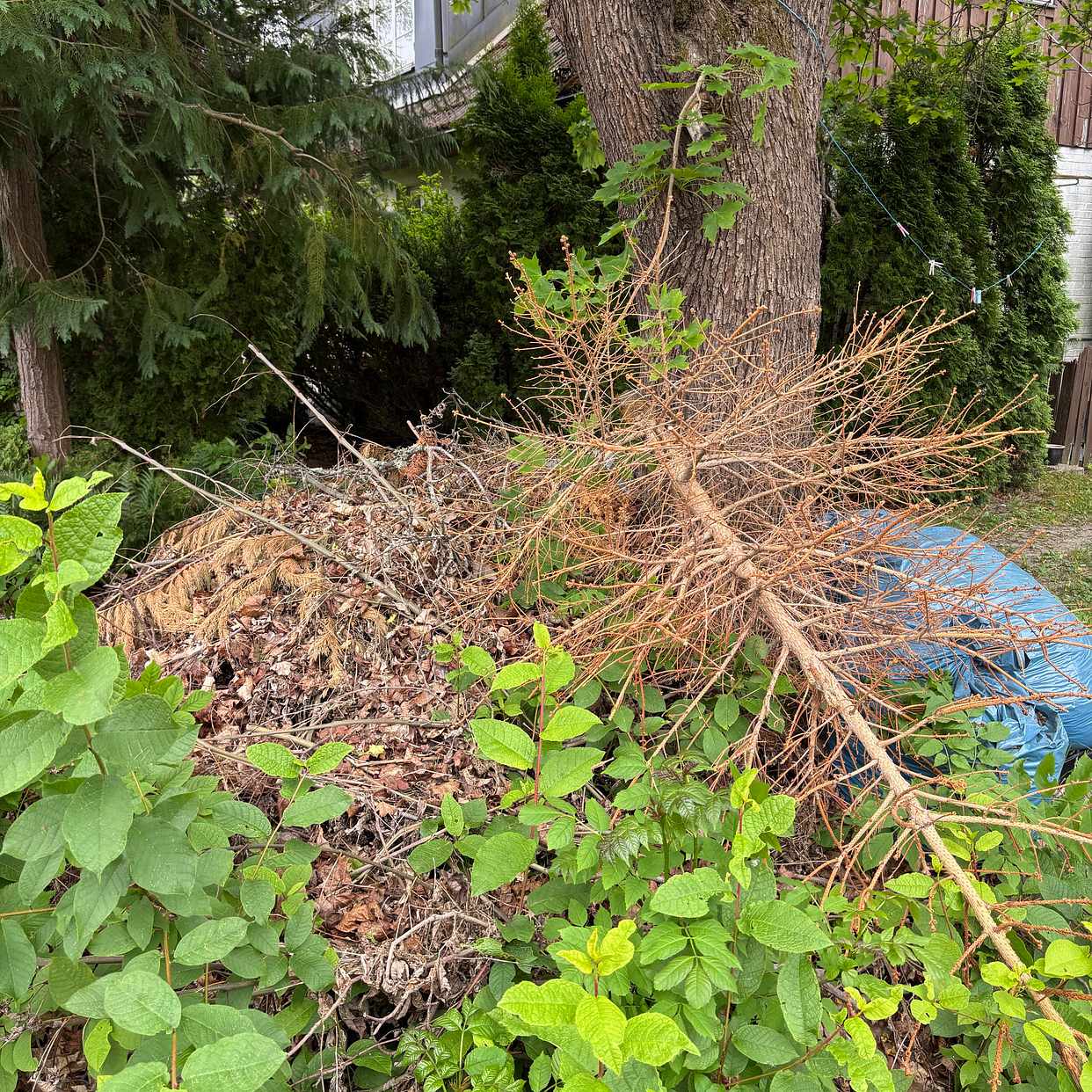 image of Garden waste - Huddinge
