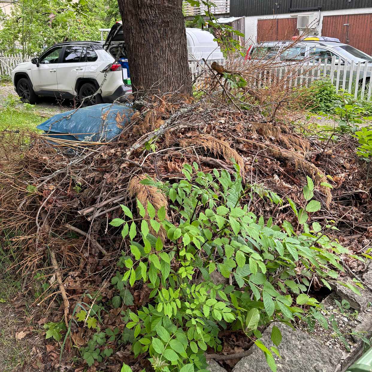image of Garden waste - Huddinge