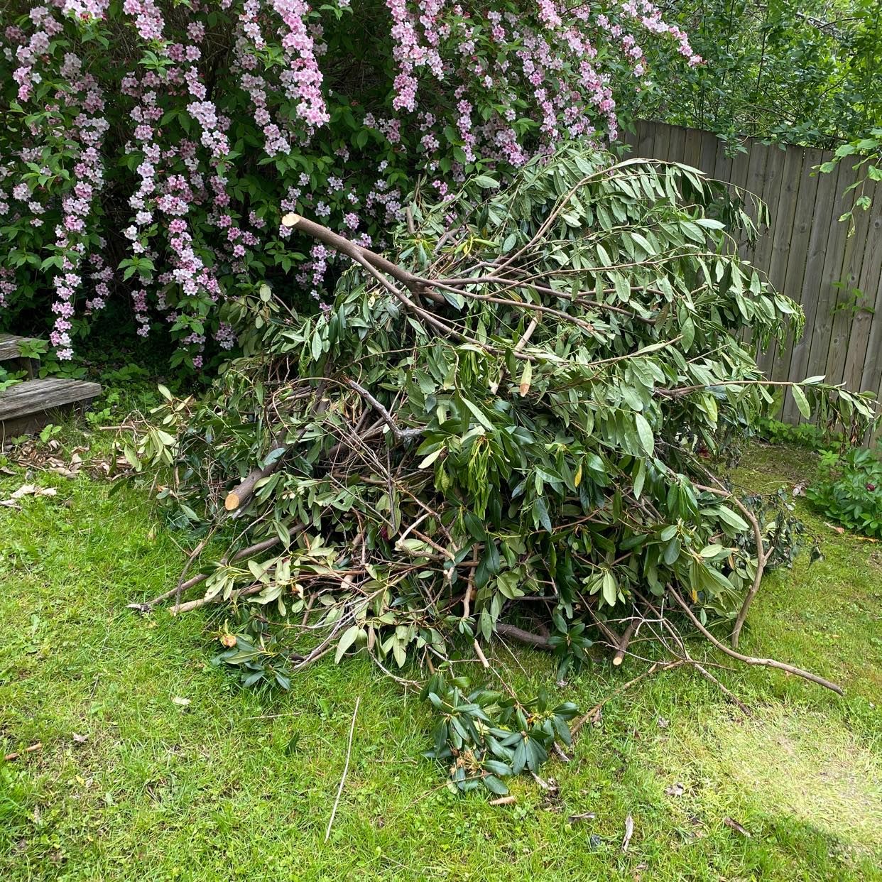 image of Trädgårdsavfall grenar mm - Mölndal