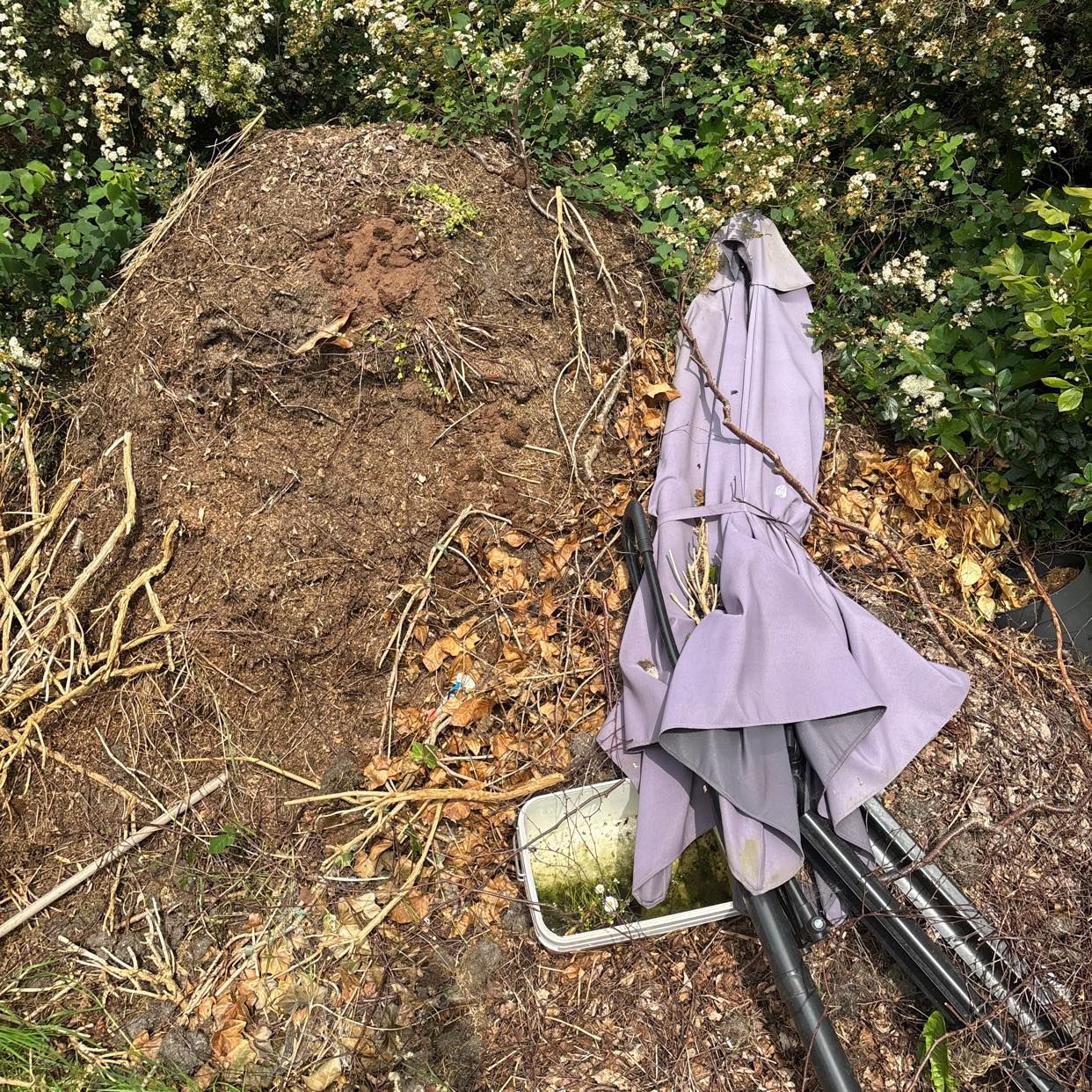 image of Få bort detta - Skanör