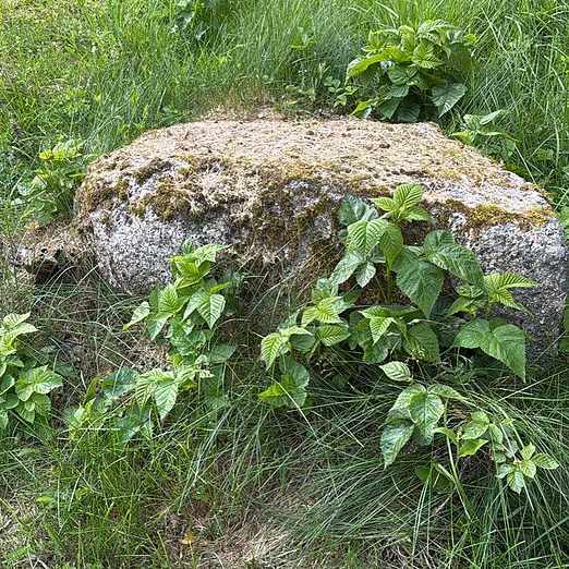 image of Gratis naturstenar - Kilsmo