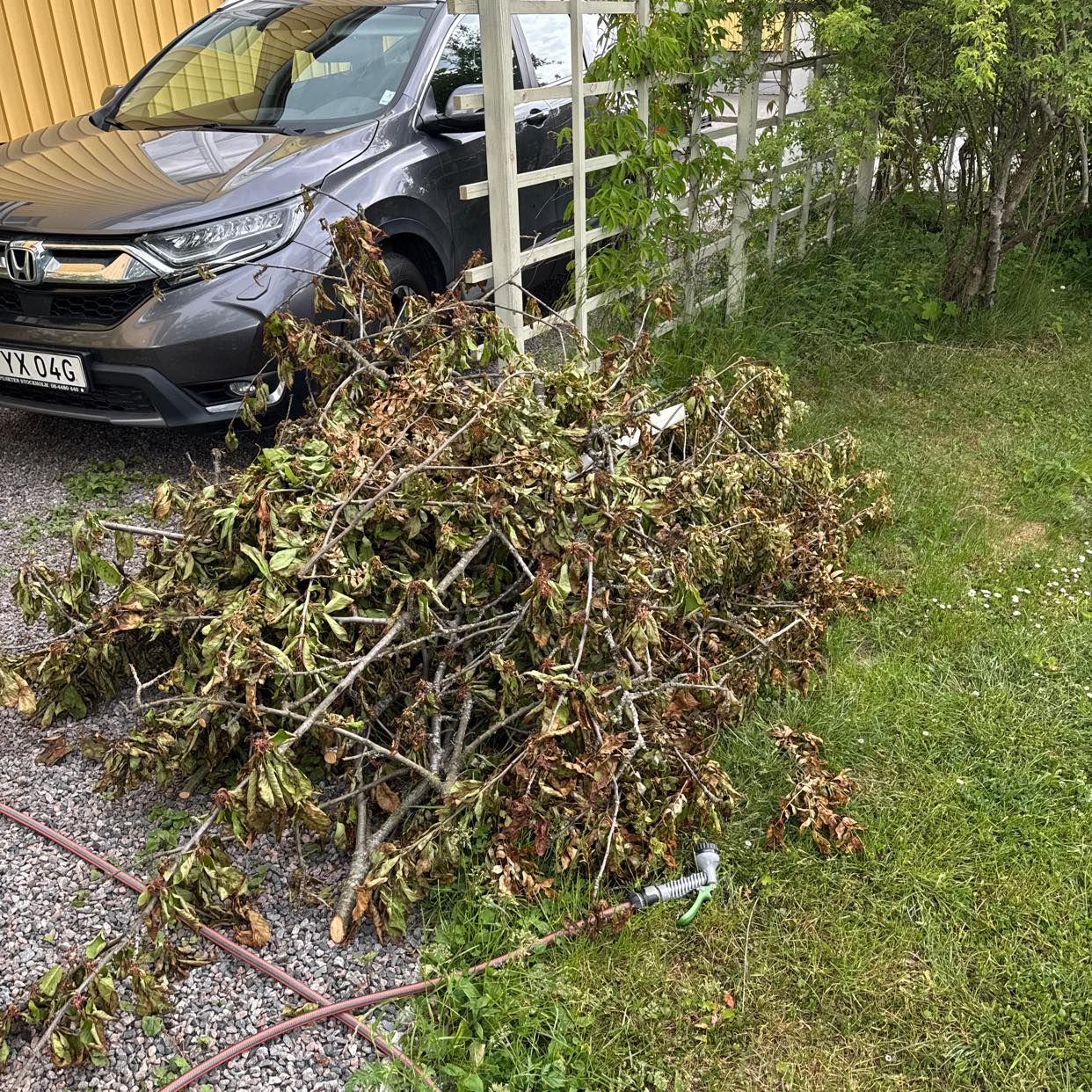 image of En hög med grenar - Enskededalen