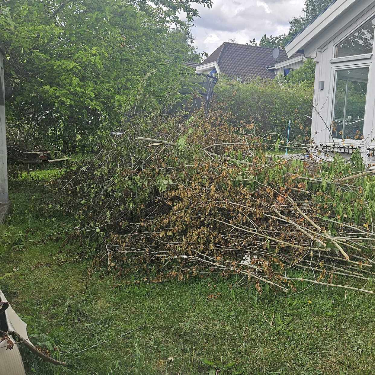 image of 3 högar med grenar mm - Täby