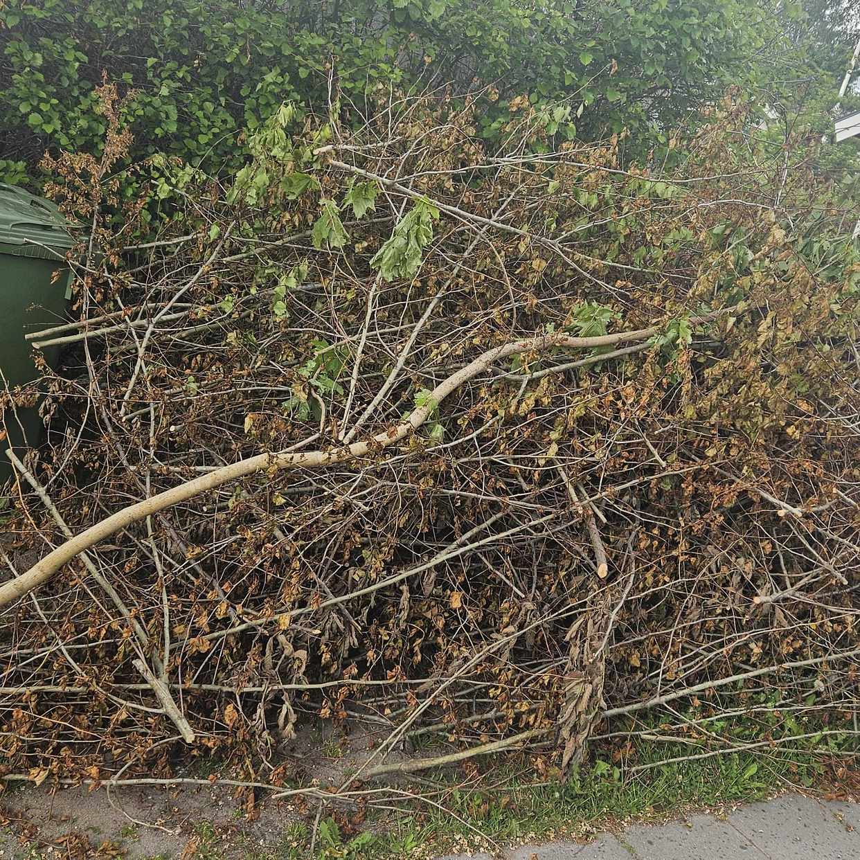 image of 3 högar med grenar mm - Täby