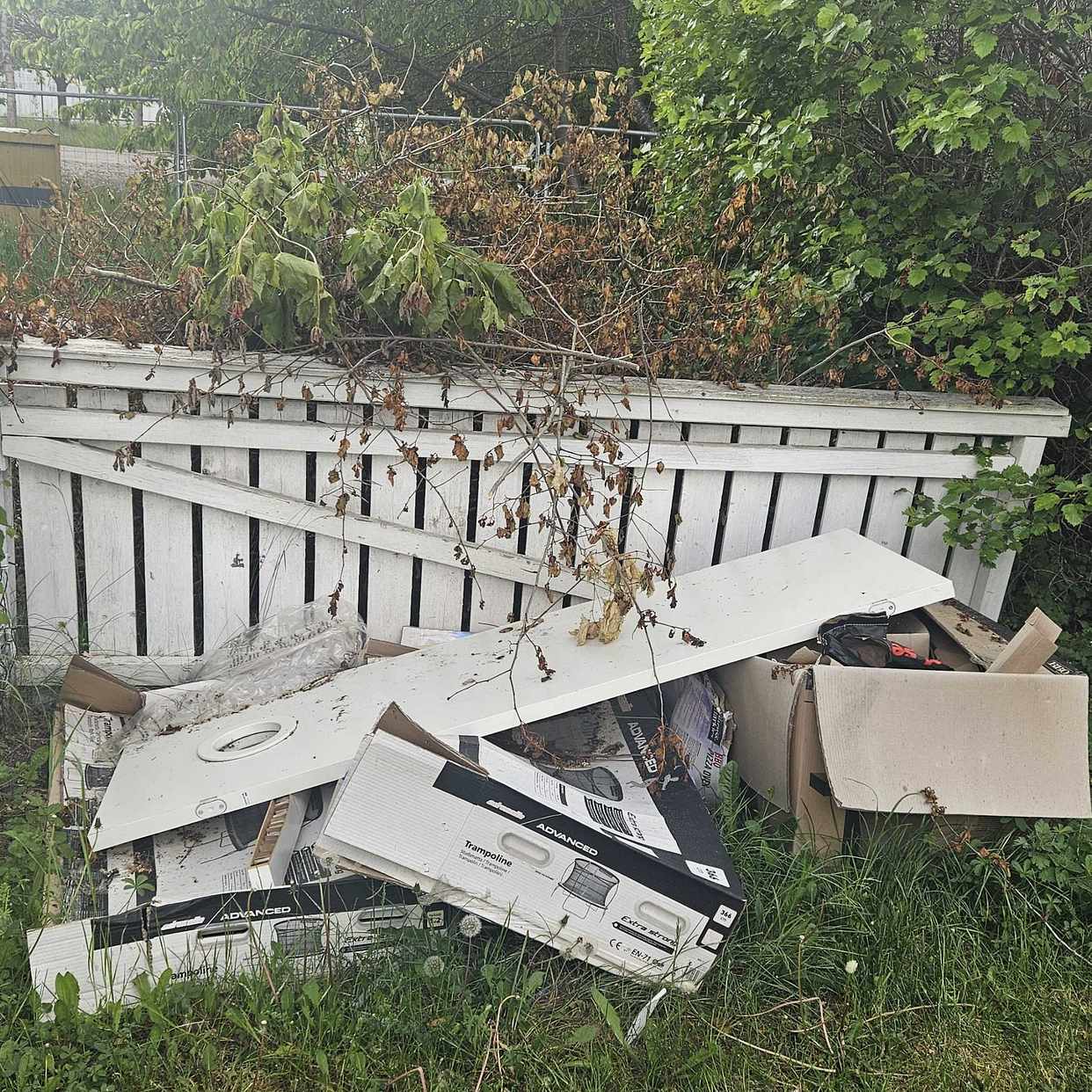 image of 3 högar med grenar mm - Täby