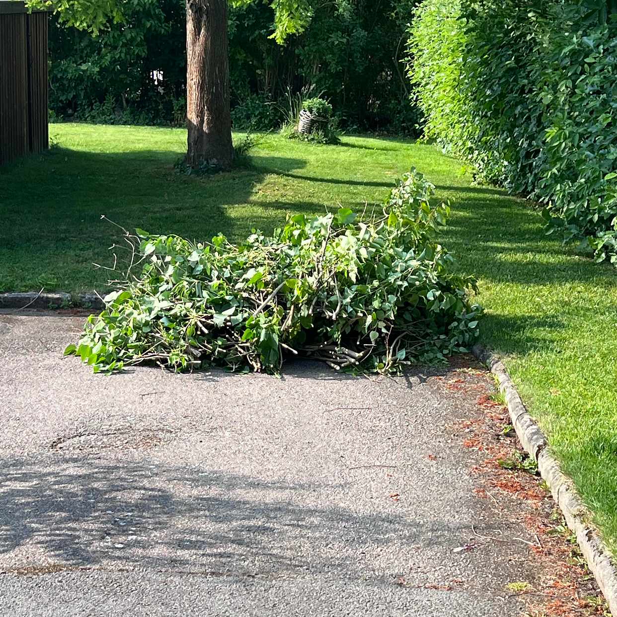 image of Hämta trädgårdsavfall - Linköping