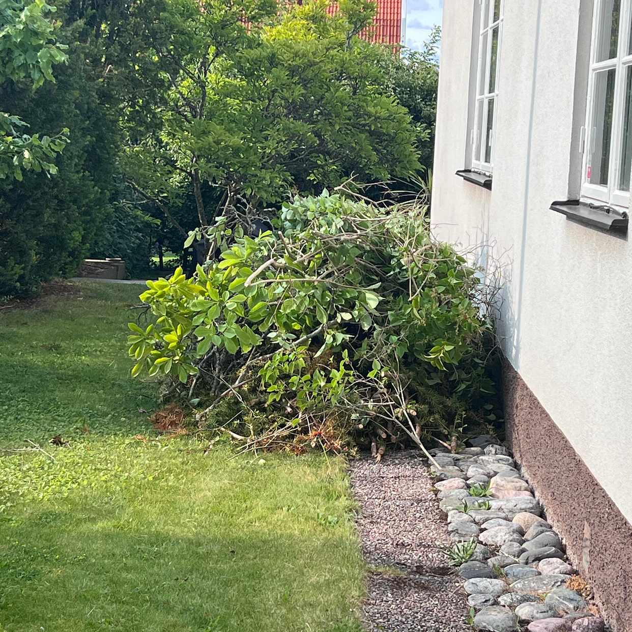 image of Hämta trädgårdsavfall - Linköping