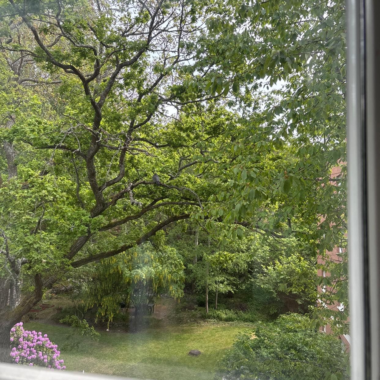 image of Återvinning - Hägersten