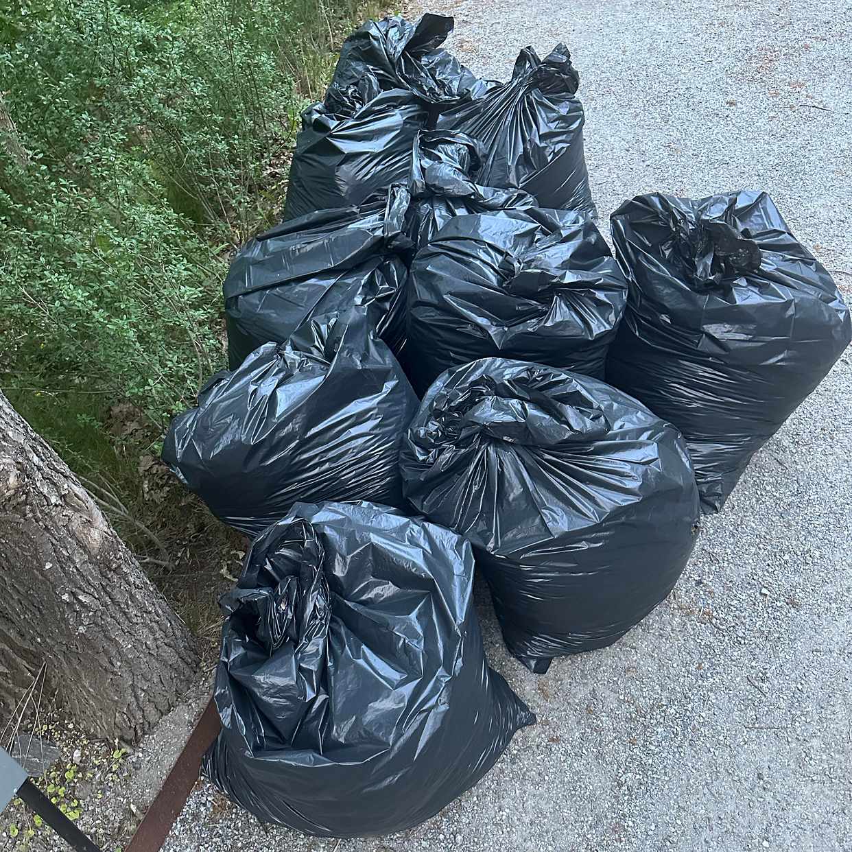 image of Säckar med trädgårdsavfal - Saltsjöbaden