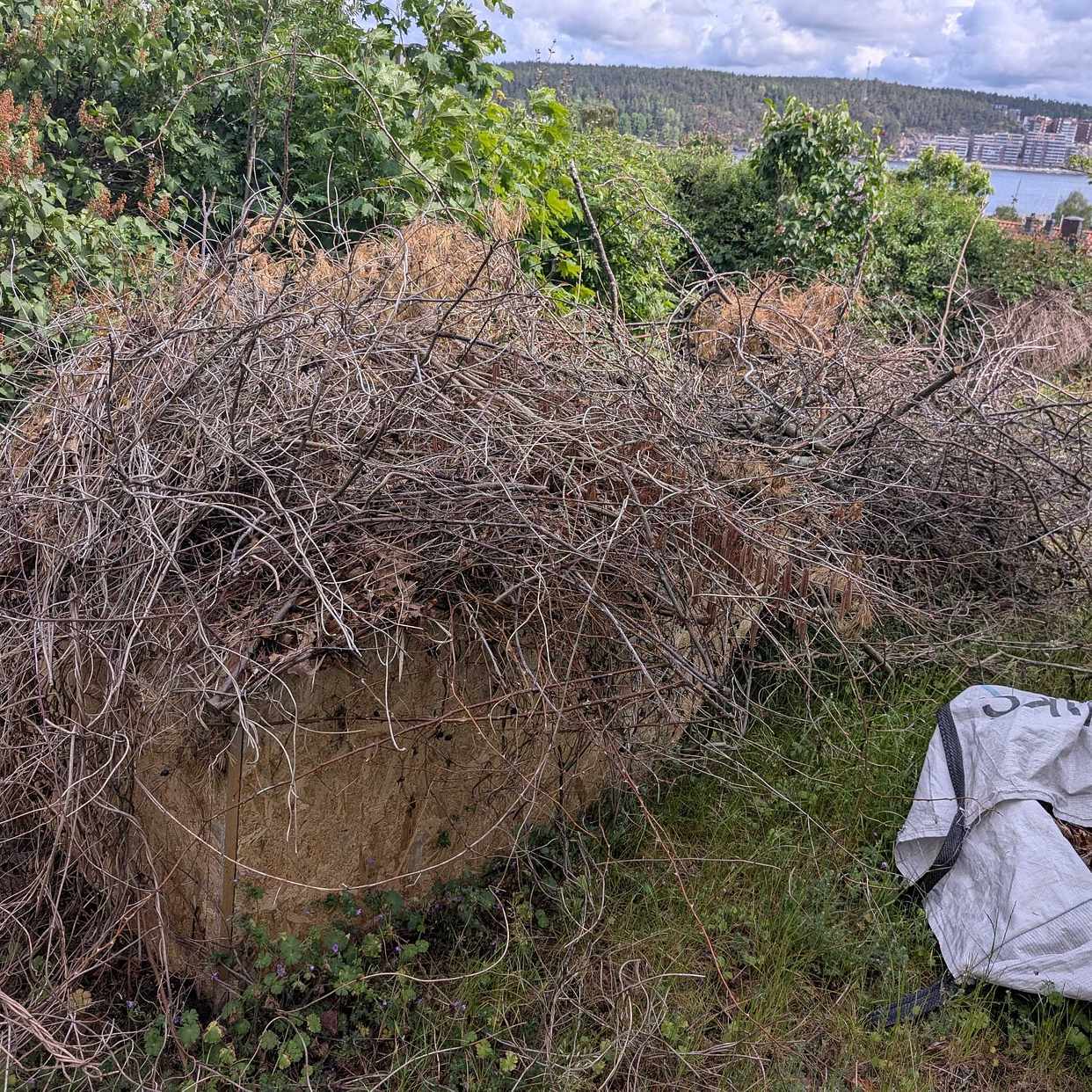 image of Garden waste - Lidingö