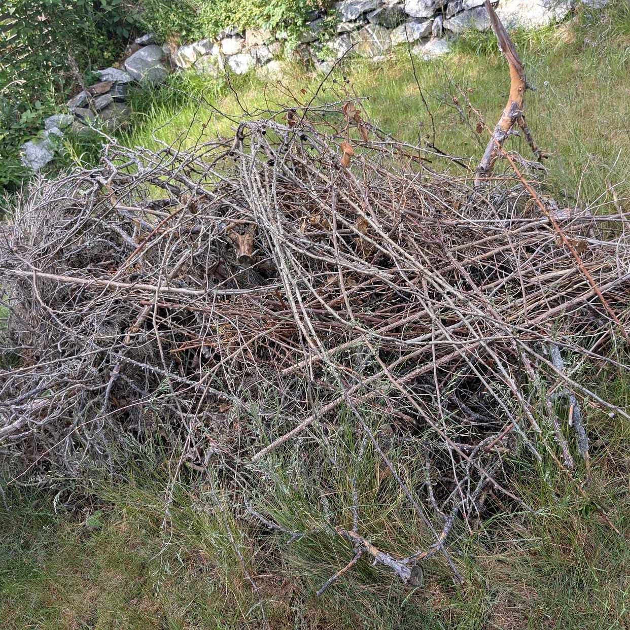 image of Garden waste - Lidingö