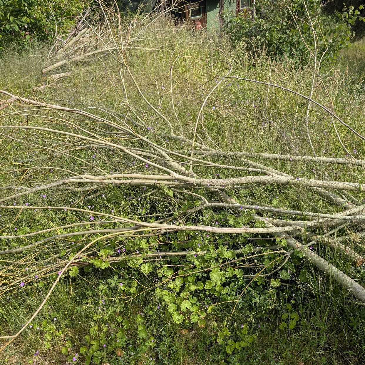 image of Garden waste - Lidingö