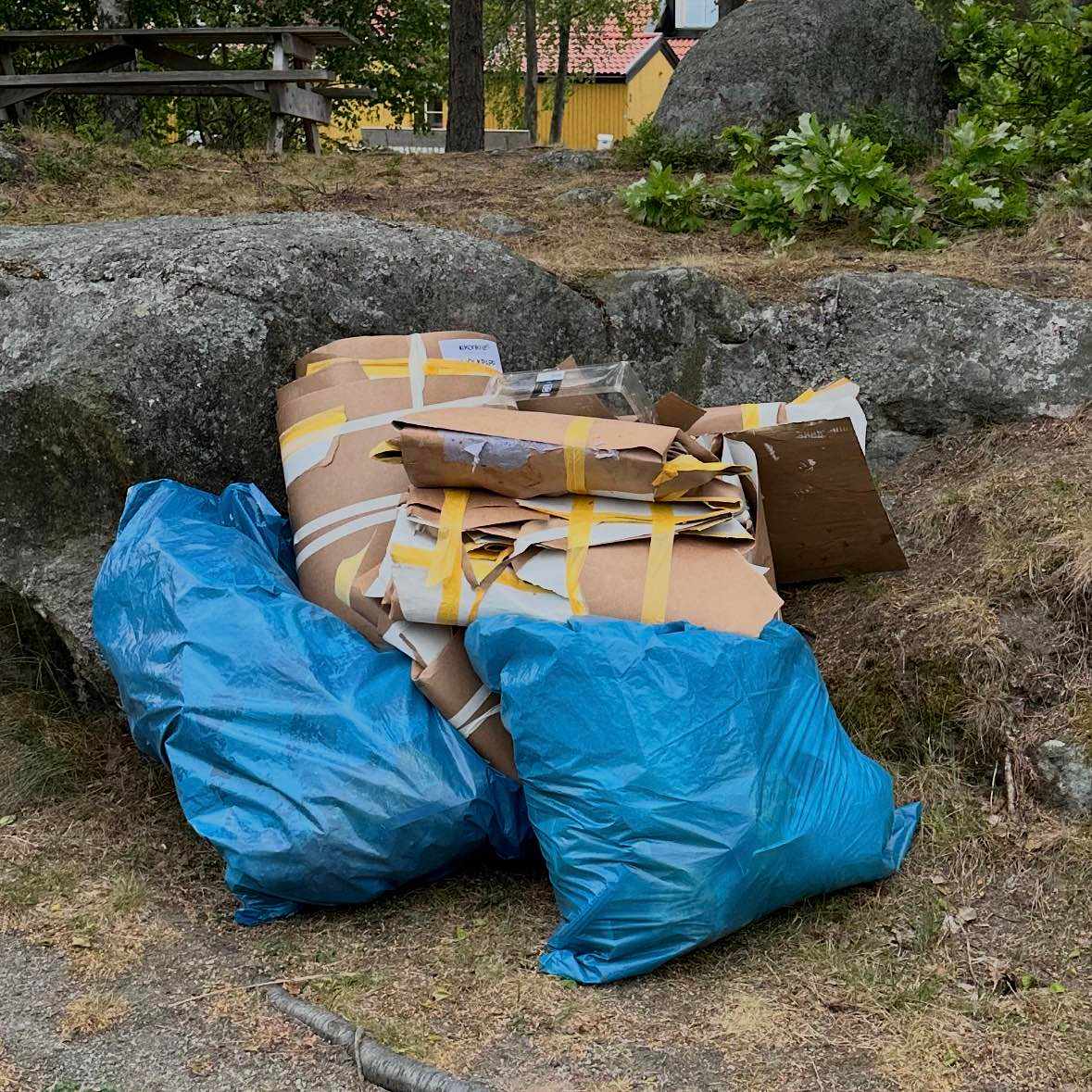 image of Papper, tommafärgburkar - Lidingö