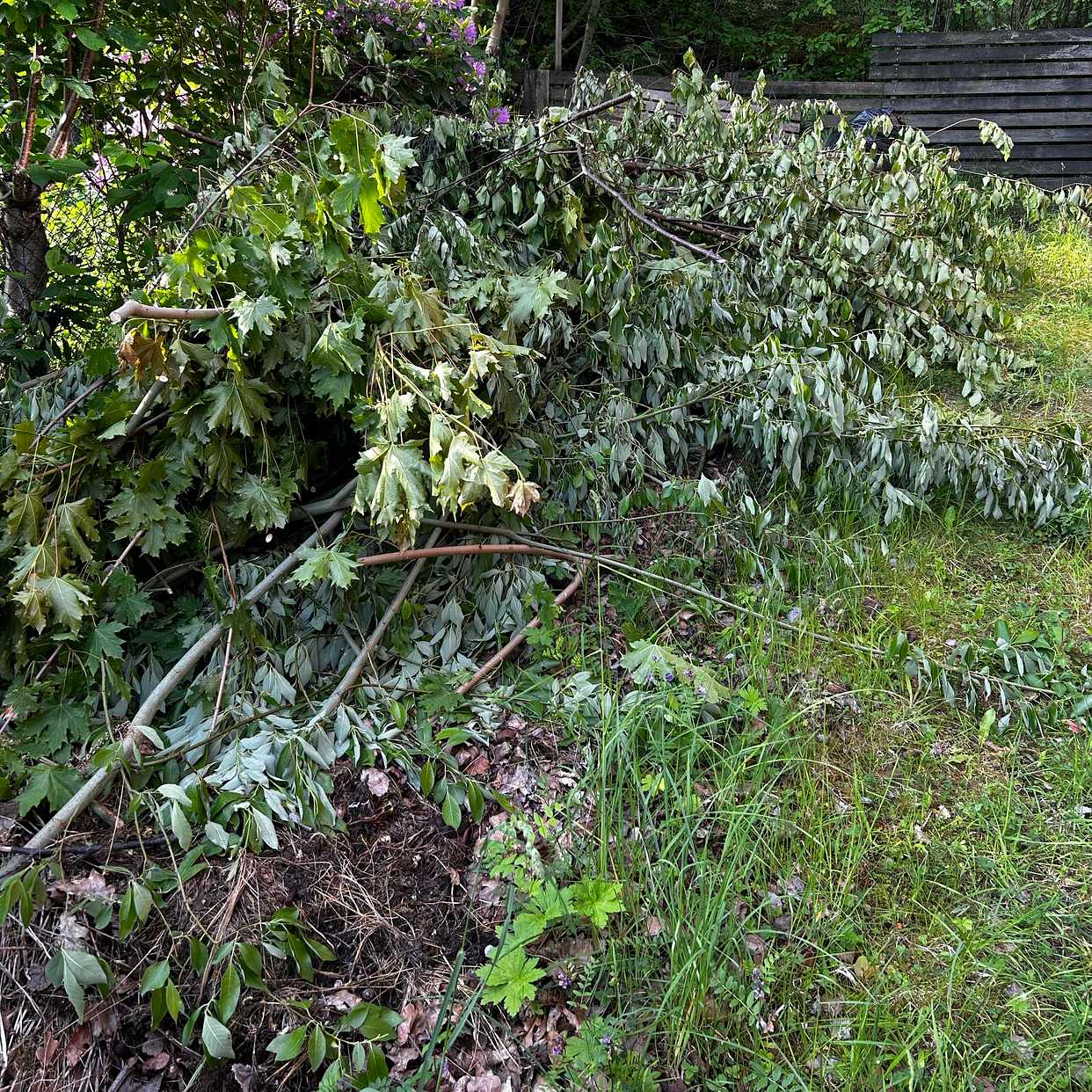 image of Slänga trädgårdsavfall mm - Lidingö