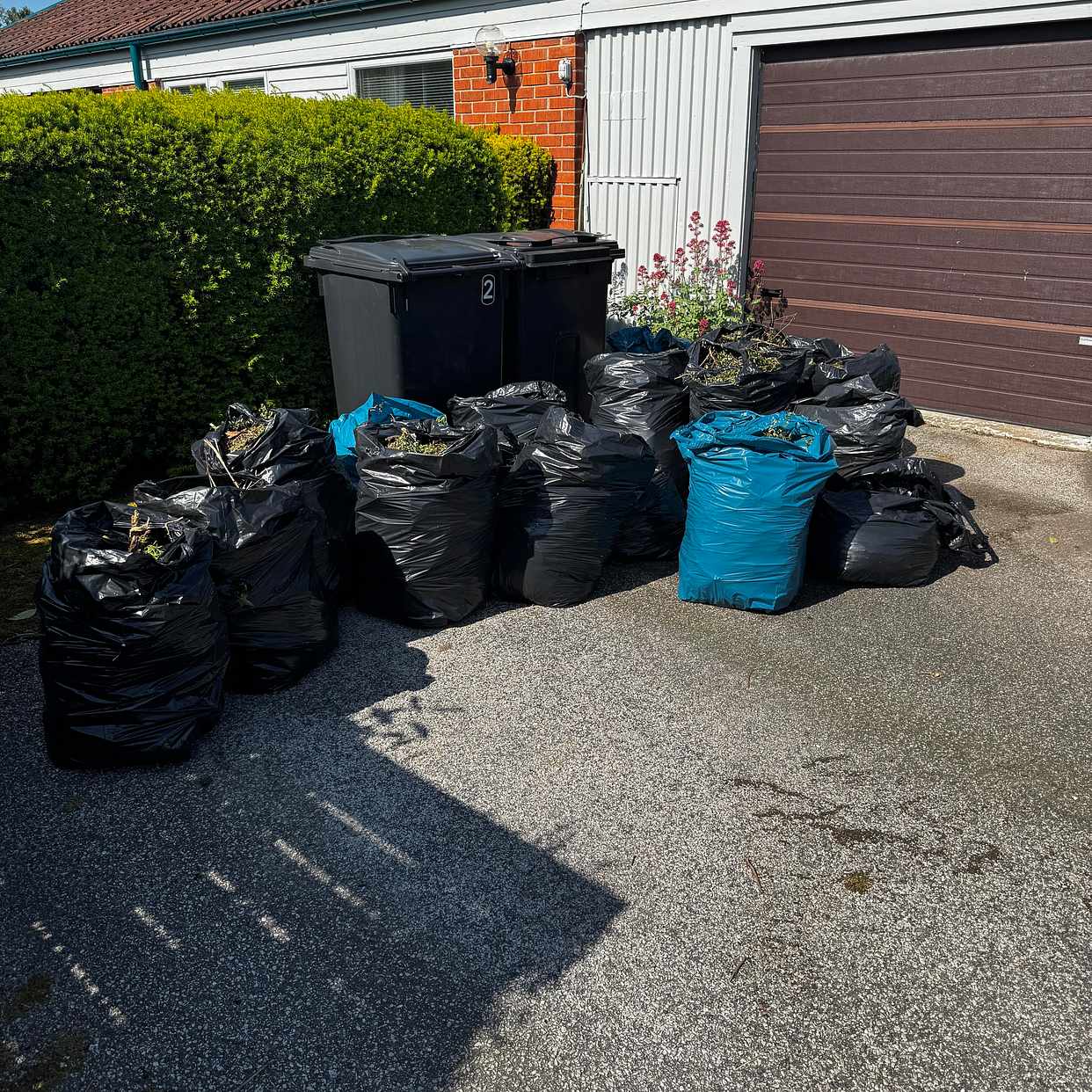 image of Trädgårdsavfall i säckar - Malmö