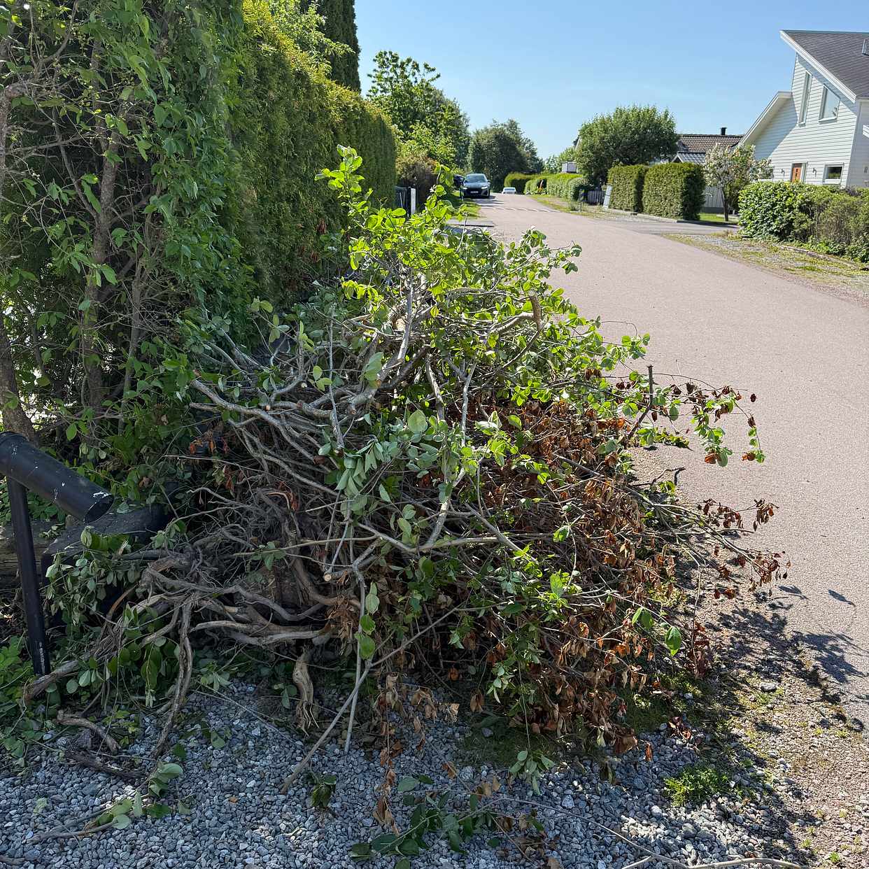 image of Trädgårdsrens - Västerås