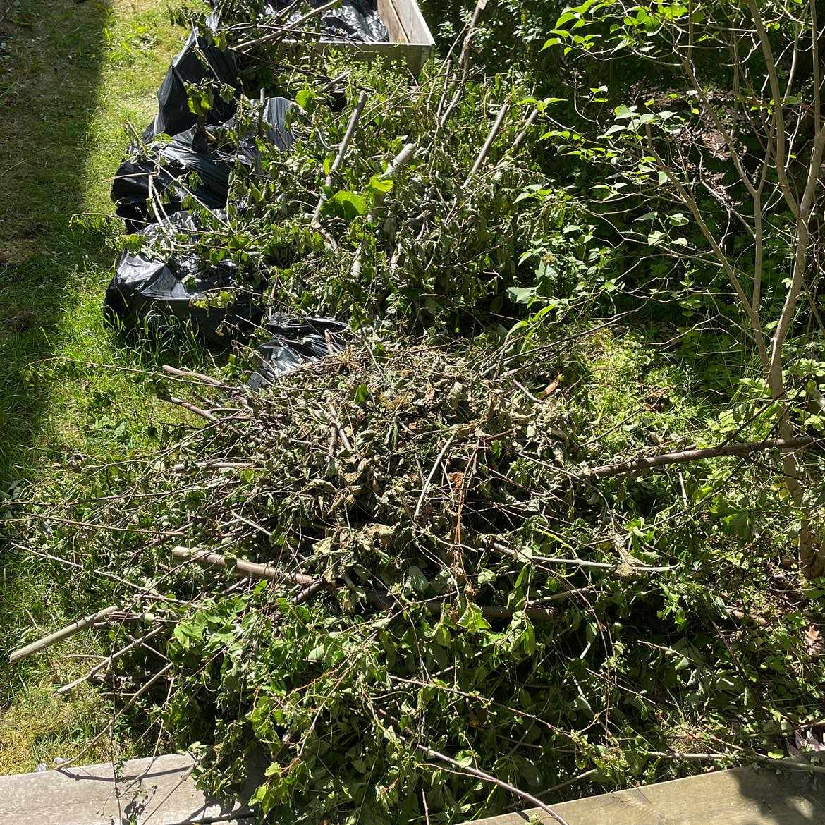 image of Återvinna trädgårdsavfall - Enskede-Årsta-Vantör