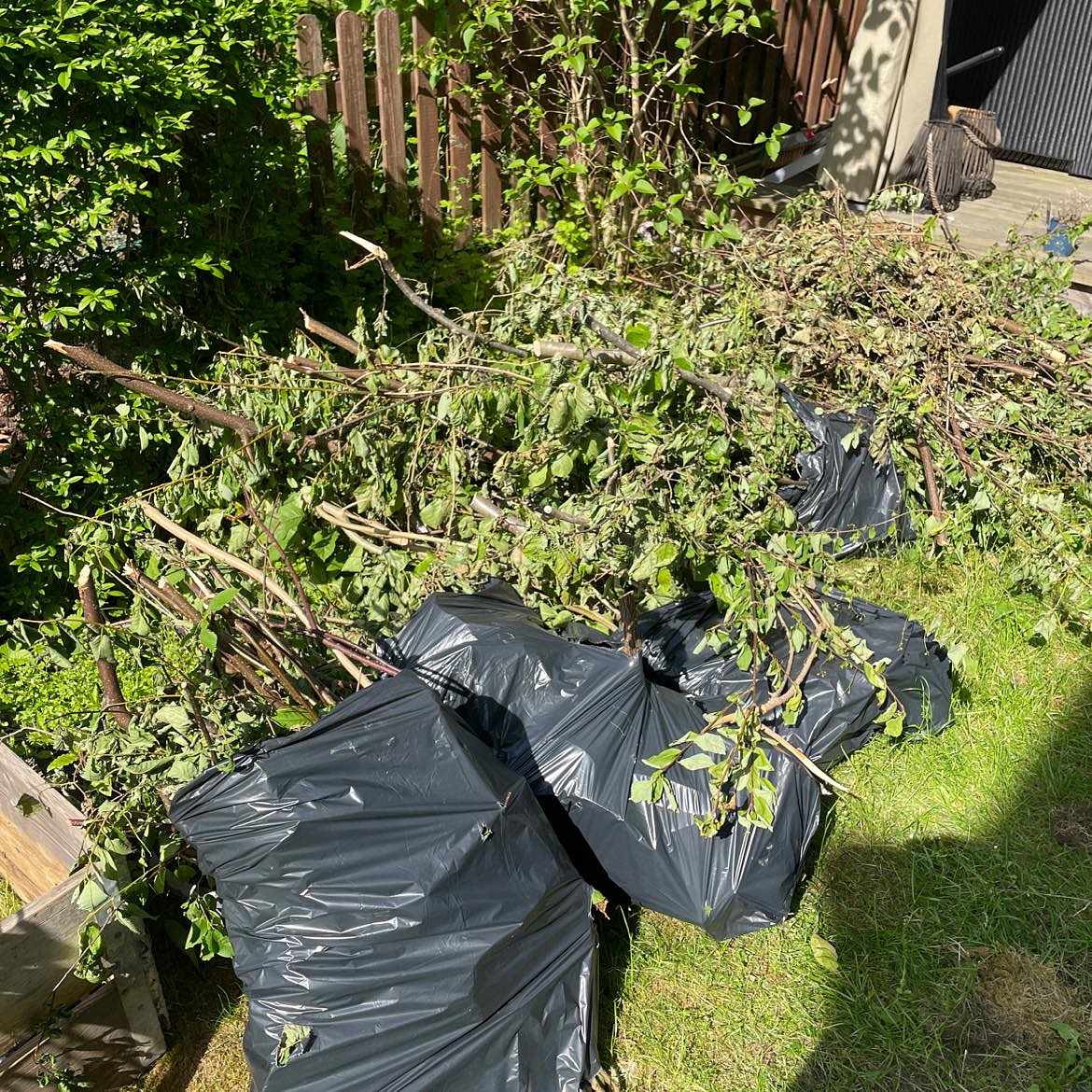 image of Återvinna trädgårdsavfall - Enskede-Årsta-Vantör