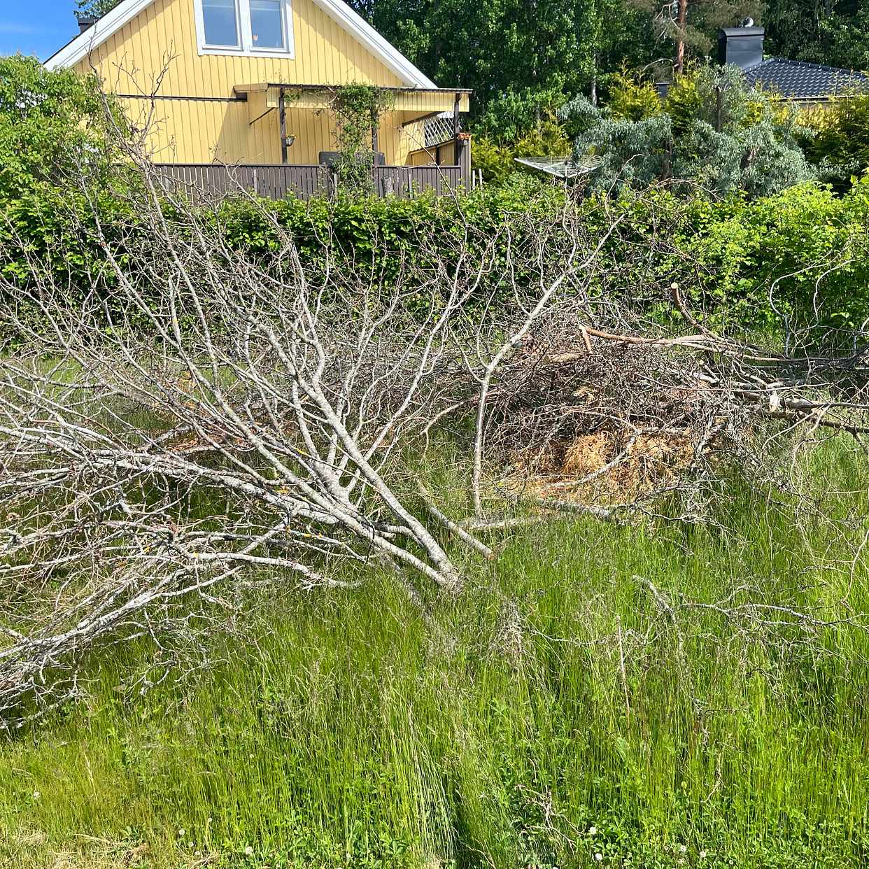 image of Grenar och 2 byggsäckar - Tumba