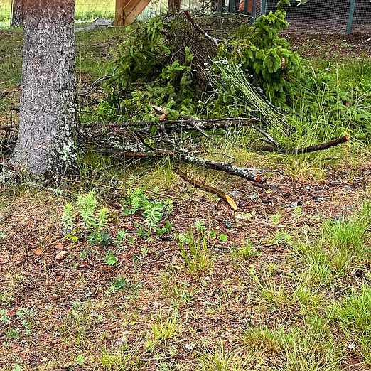image of Gipsskivor bortskänkes - Täby