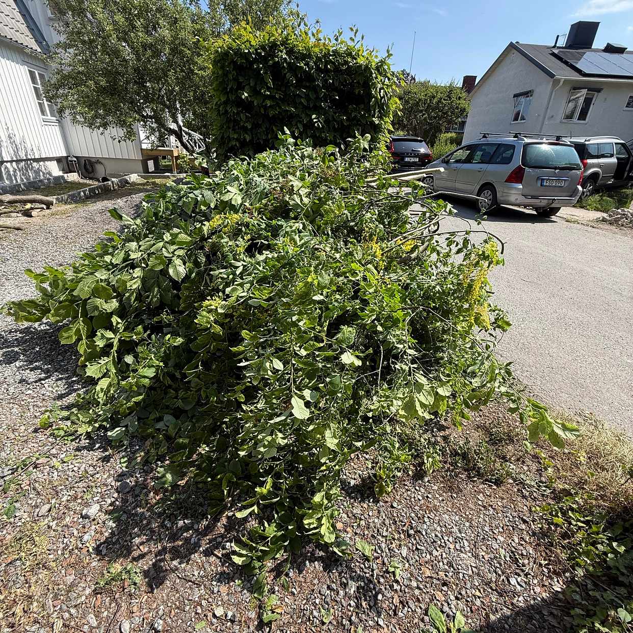 image of Ris för återvinning - Bromma