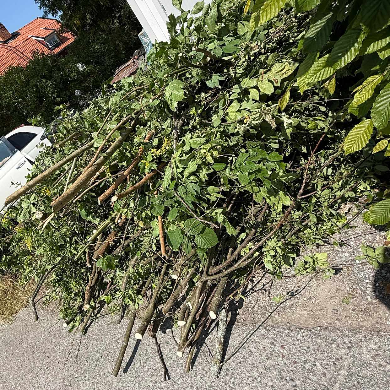 image of Ris för återvinning - Bromma