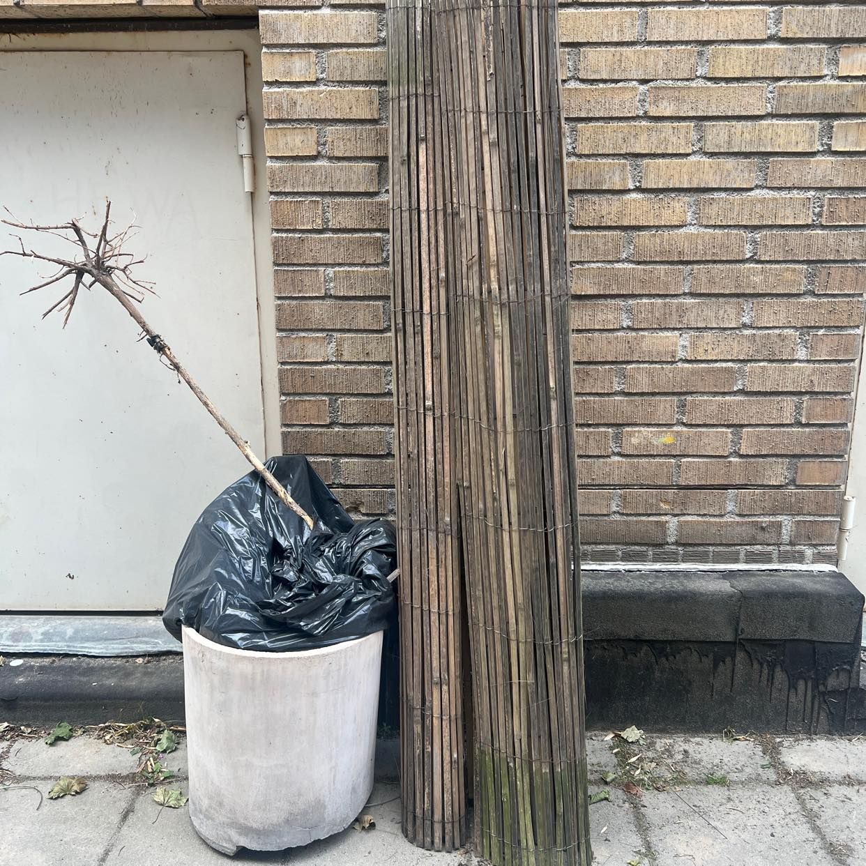 image of Slänga skräp - Stockholm