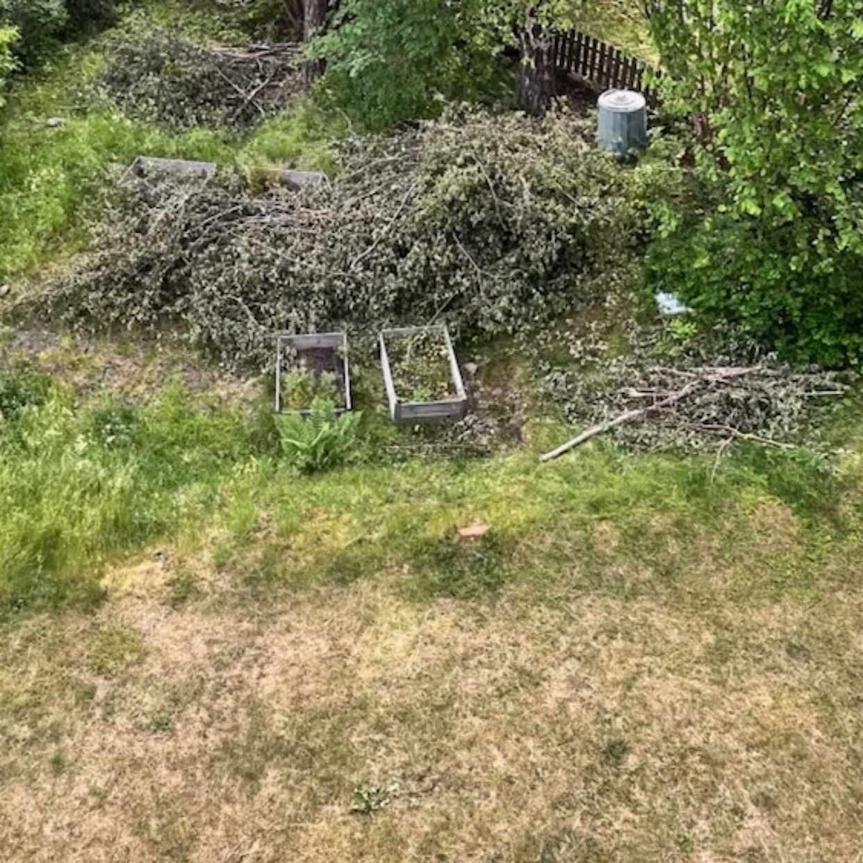 image of Bortförsel av stora grena - Trångsund