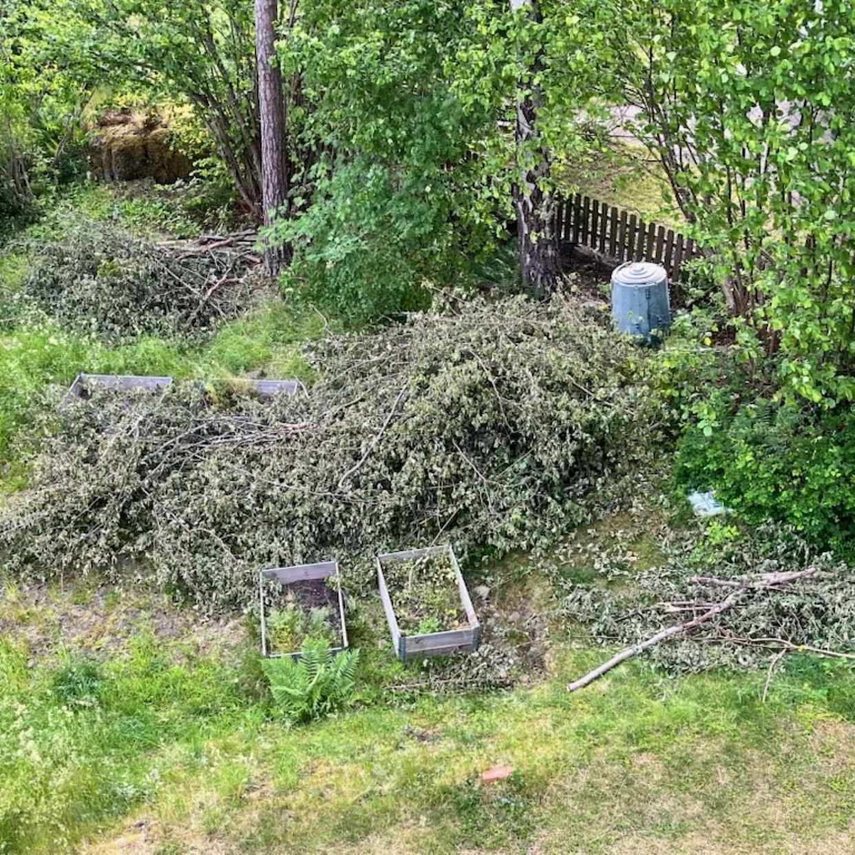 image of Bortförsel av stora grena - Trångsund