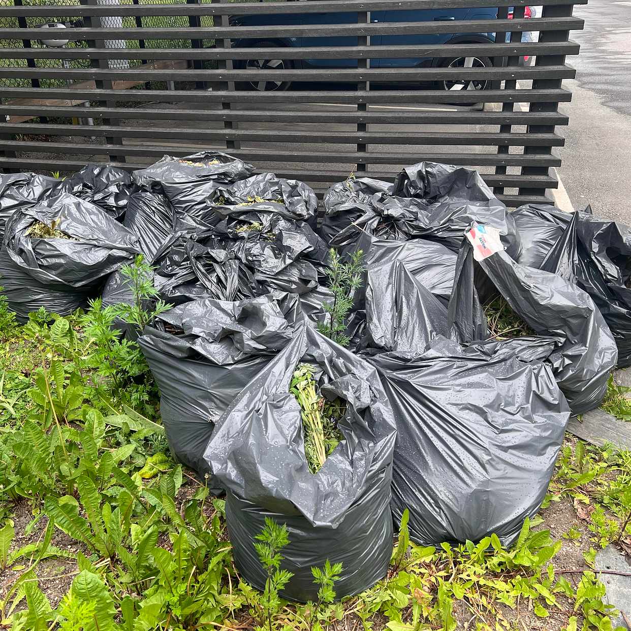image of Garden waste - Enskede