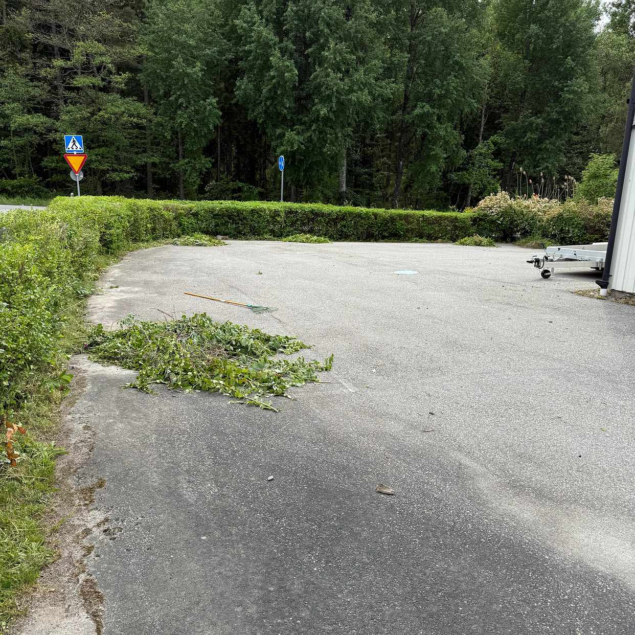 image of Häck/buskrens - Täby