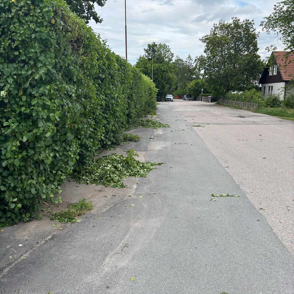 image of Hämta trådgårdsklipp - Uppsala