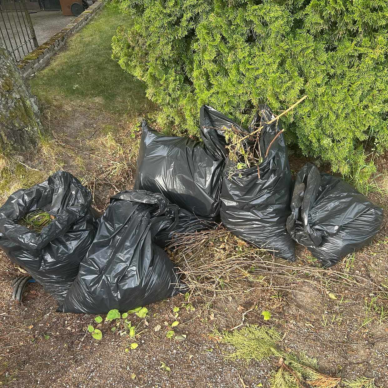 image of Trädgårdsavfall & ris - Tyresö