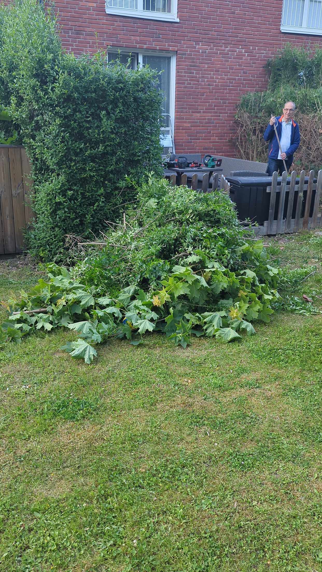 image of Bush clippings - Vårby